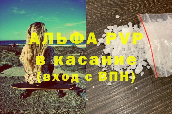 сатива Няндома