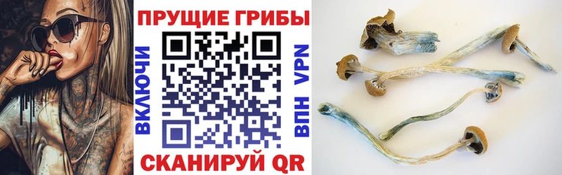 Псилоцибиновые грибы мухоморы закладка Людиново